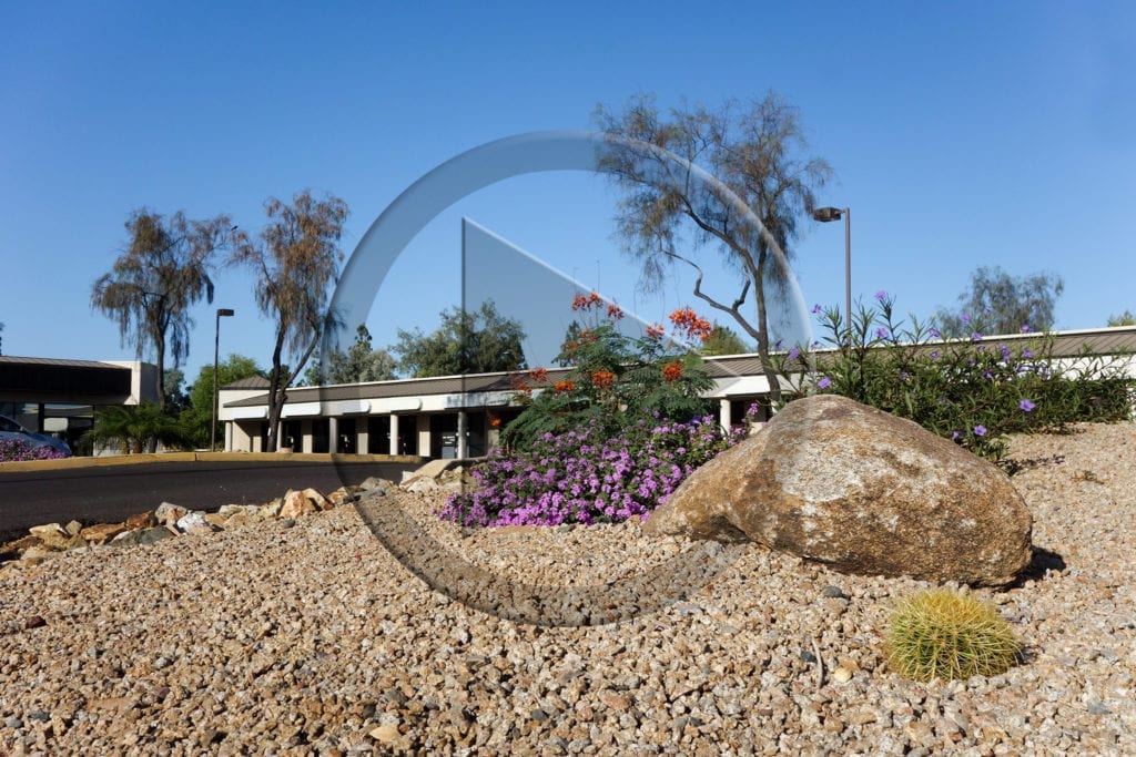 Xeriscaping Video
